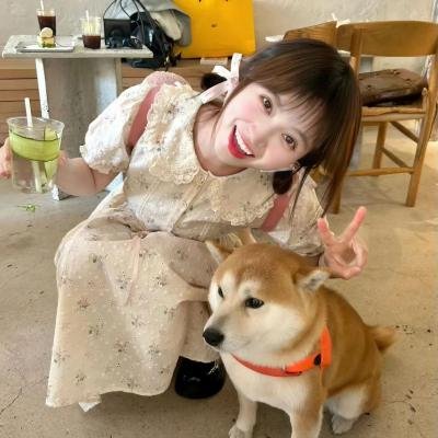 我的小公主海报
